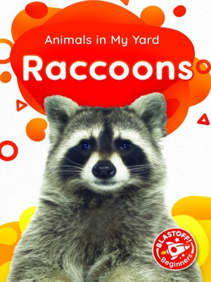 cover image of Raccoons